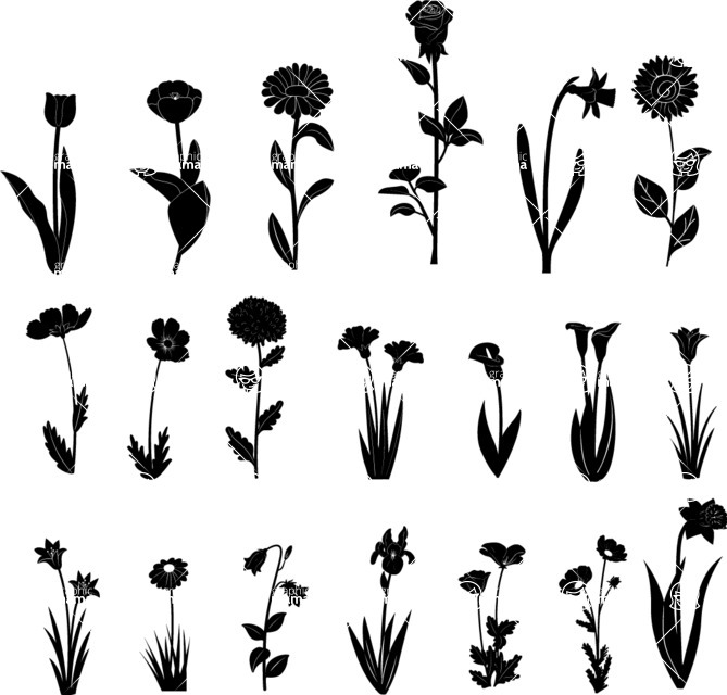 Vector silhouettes - Vector Flower Silhouettes Set